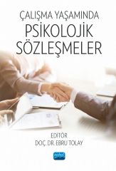 Nobel Çalışma Yaşamında Psikolojik Sözleşmeler - Ebru Tolay Nobel Akademi Yayınları