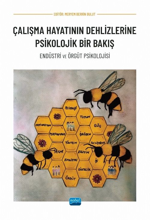 Nobel Çalışma Hayatının Dehlizlerinde Psikolojik Bir Bakış - Meryem Berrin Bulut Nobel Akademi Yayınları