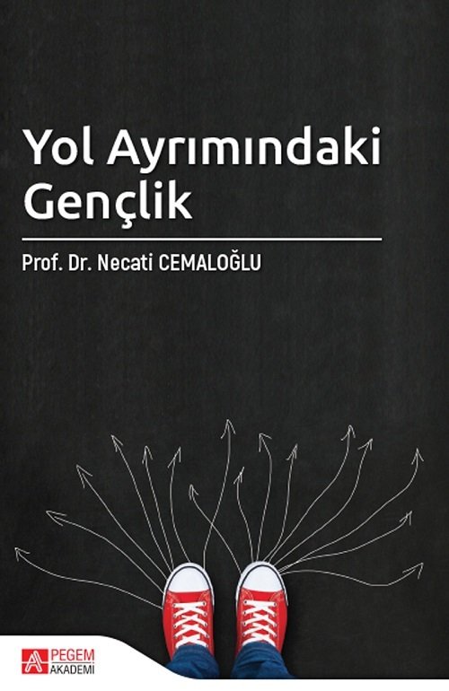 Pegem Yol Ayrımındaki Gençlik - Necati Cemaloğlu Pegem Akademi Yayınları