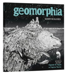 Geomorphia - Olağanüstü Bir Boyama ve Araştırma Macerası Romos Yayınevi