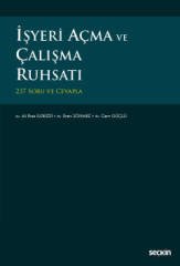 Seçkin İşyeri Açma ve Çalışma Ruhsatı - Ali Rıza İlgezdi, Eren Sönmez, Cem Güçlü Seçkin Yayınları