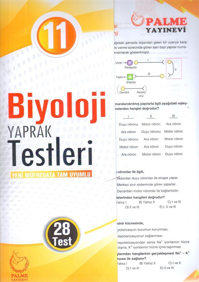 Palme 11. Sınıf Biyoloji Yaprak Testleri Palme Yayınları