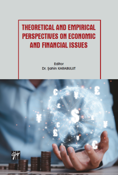 Gazi Kitabevi Theoretical and Empirical Perspectives on Economic and Financial Issues - Şahin Karabulut Gazi Kitabevi