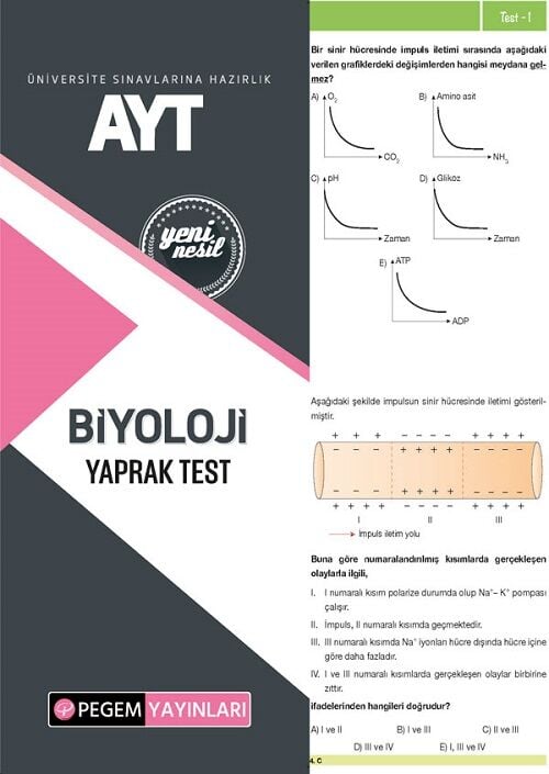 Pegem YKS AYT Biyoloji Yaprak Test Pegem Akademi Yayınları