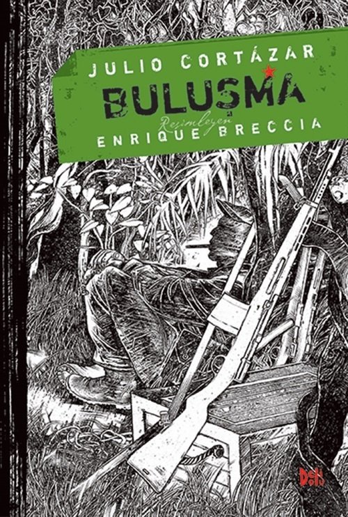 Buluşma - Julio Cortazar Delidolu Yayınları