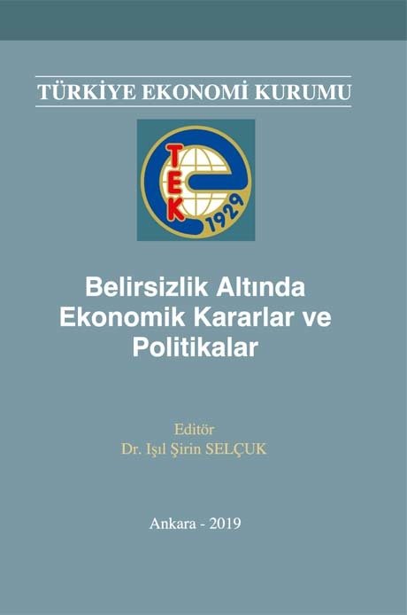 İmaj Belirsizlik Altında Ekonomik Kararlar ve Politikalar - Işıl Şirin Selçuk İmaj Yayınları