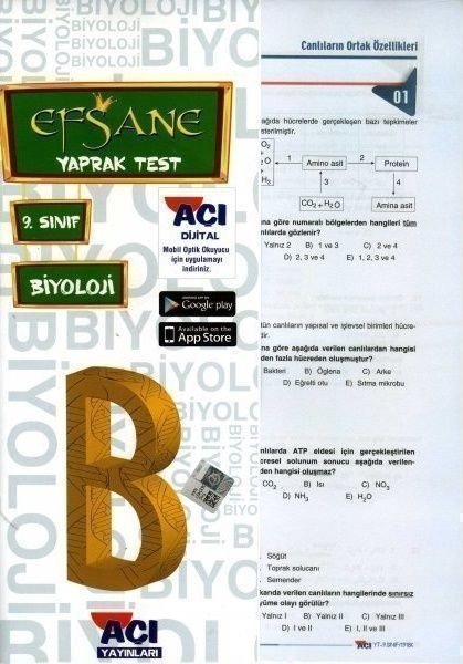 Açı Yayınları 9. Sınıf Biyoloji Yaprak Test Açı Yayınları