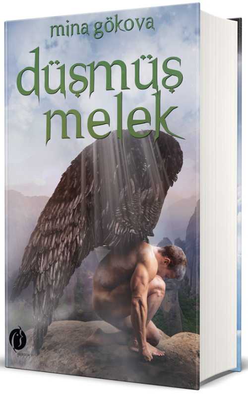 Düşmüş Melek - Mina Gökova Herdem Kitap