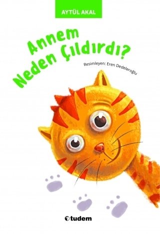 Annem Neden Çıldırdı? - Aytül Akal Tudem Yayınları