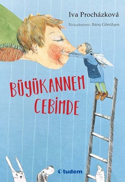 Büyükannem Cebimde - Iva Prochazkova Tudem Yayınları