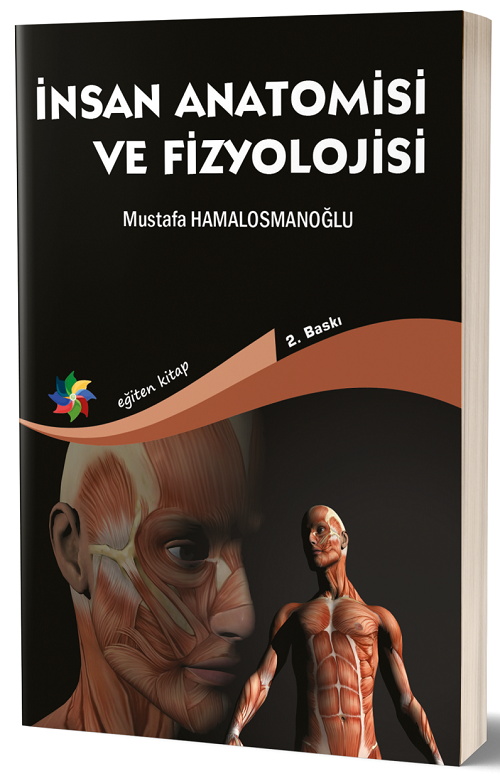 Eğiten Kitap İnsan Anatomisi ve Fizyolojisi - Mustafa Hamalosmanoğlu ​Eğiten Kitap