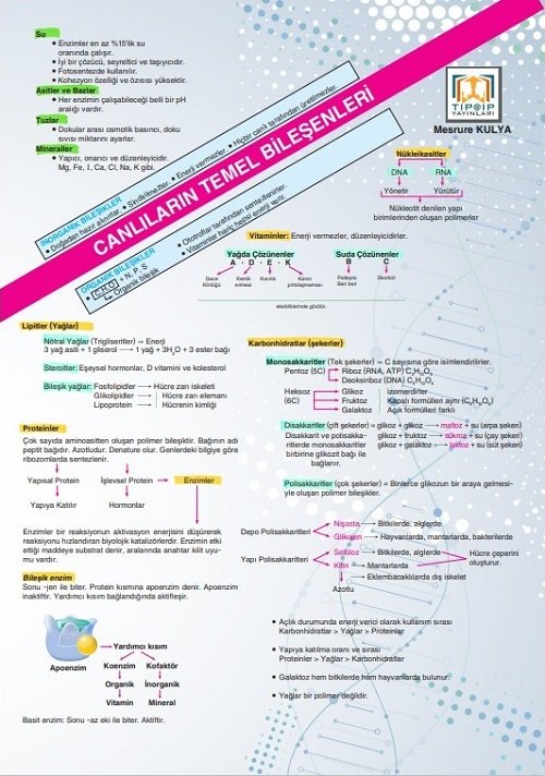 Tıpatıp YKS TYT Biyoloji Poster Notları Tıpatıp Yayınları