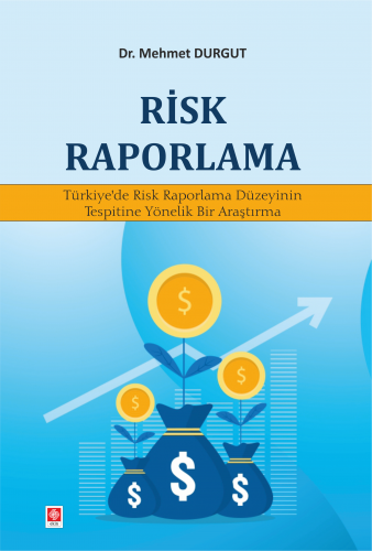 Ekin Risk Raporlama - Mehmet Durgut Ekin Yayınları