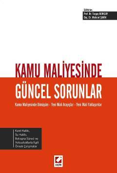 Seçkin Kamu Maliyesinde Güncel Sorunlar - Mehmet Şahin, Turgay Berksoy Seçkin Yayınları