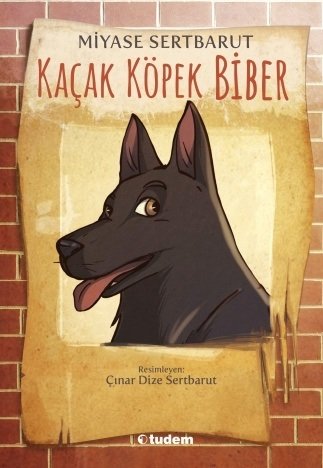 Kaçak Köpek Biber - Miyase Sertbarut Tudem Yayınları