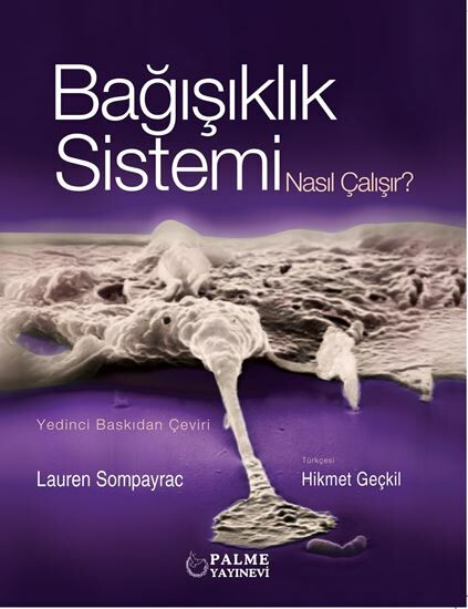 Palme Bağışıklık Sistemi Nasıl Çalışır - Lauren Sompayrac Palme Akademik Yayınları