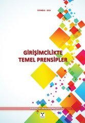 Umuttepe Girişimcilikte Temel Prensipler - Mehmet Naci Efe Umuttepe Yayınları