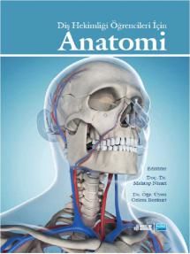 Nobel Diş Hekimliği Öğrencileri İçin Anatomi - Mehtap Nisari, Özlem Bozkurt Nobel Akademi Yayınları