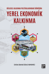 Gazi Kitabevi Bölgesel Kalkınma Politikalarındaki Dönüşüm, Yerel Ekonomik Kalkınma - Emine Demet Ekinci Hamamcı Gazi Kitabevi