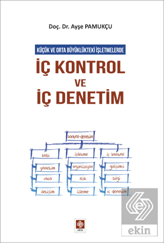 Ekin İç Kontrol ve İç Denetim - Ayşe Pamukçu Ekin Yayınları