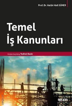 Seçkin Temel İş Kanunları - Haluk Hadi Sümer Seçkin Yayınları