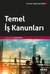 Seçkin Temel İş Kanunları - Haluk Hadi Sümer Seçkin Yayınları