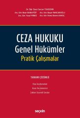 Seçkin Ceza Hukuku Genel Hükümler Pratik Çalışmalar - Sercan Tokdemir Seçkin Yayınları